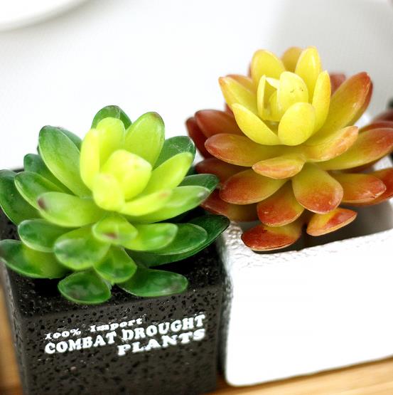 Artificial succulent plants for home garden decoration